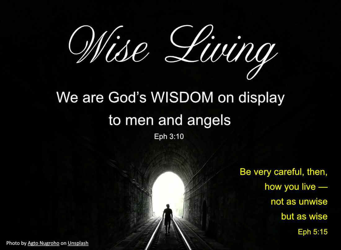 Wise Living