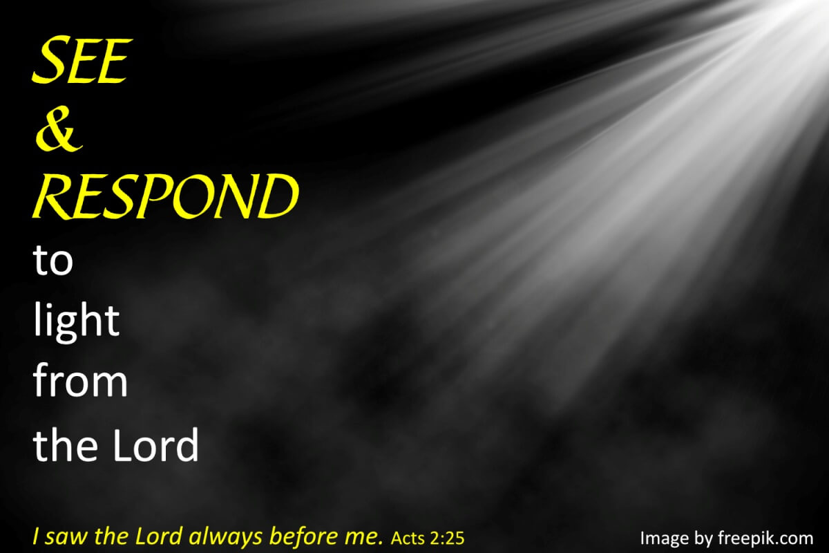 See and Respond